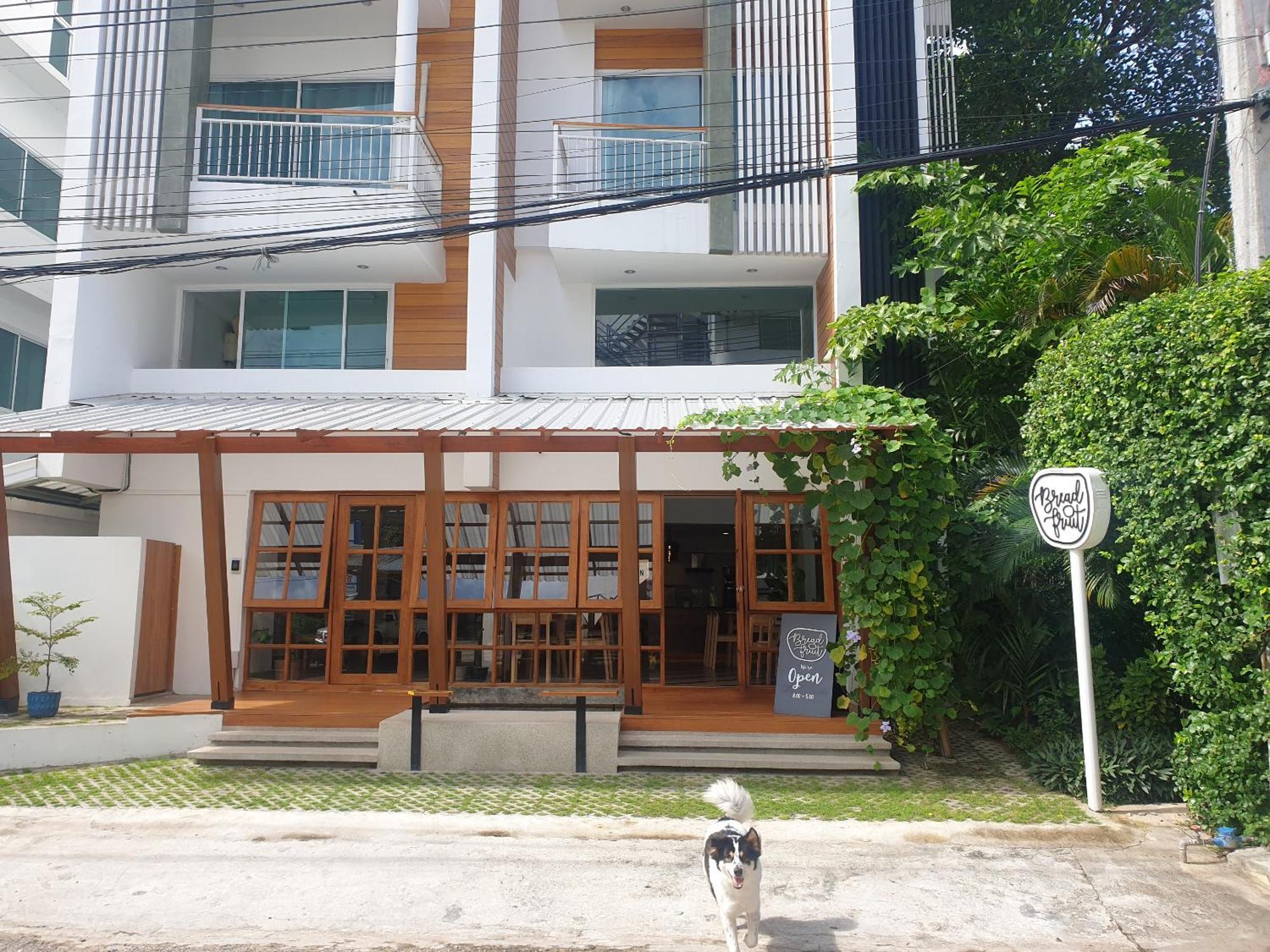 Breadfruit Hostel Chiang Mai Bagian luar foto